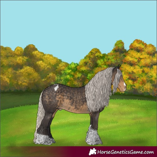 Horse Color:Silver Smoky Black Tobiano Blanket 