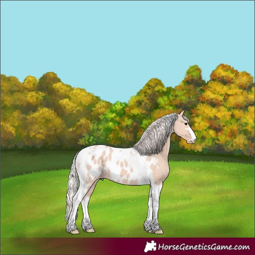 Horse Color:Silver Grullo Tobiano Near Leopard 