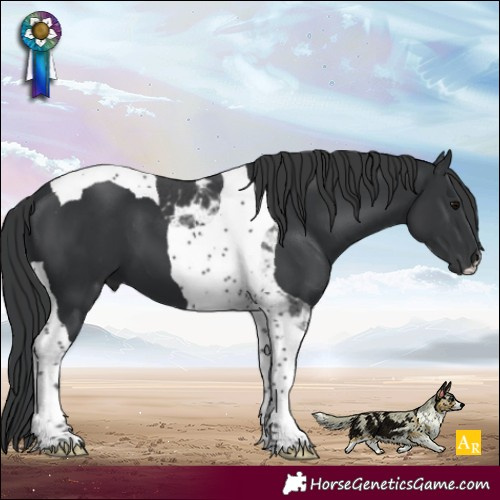 Horse Color:Black Tobiano 