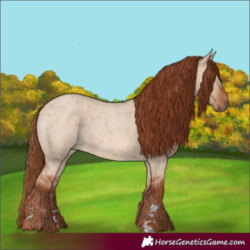 Horse Color:Red Dun Roan 