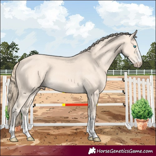 Horse Color:Perlino 