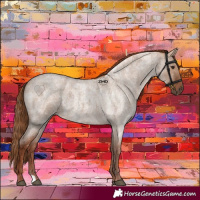 Horse Color:Red Dun Roan 