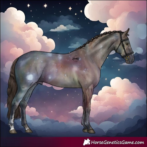 Horse Color:Liver Red Dun Sabino 