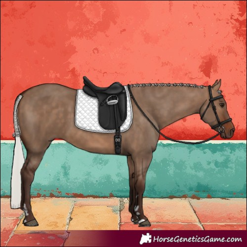 Horse Color:Silver Brown Dun