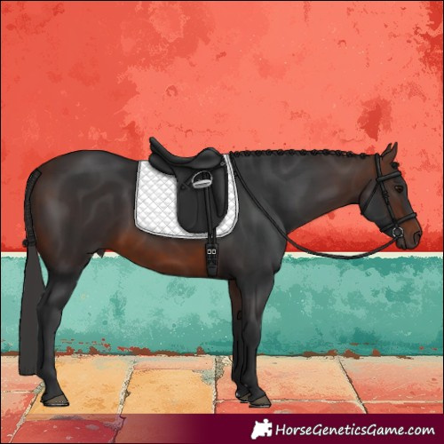 Horse Color:Brown 