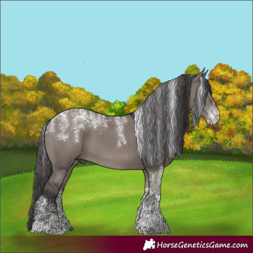 Horse Color:Powder White Smoky Grullo Rabicano