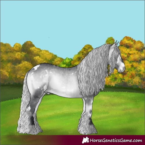 Horse Color:White Spotted Silver Bay Chinchilla Onyx 