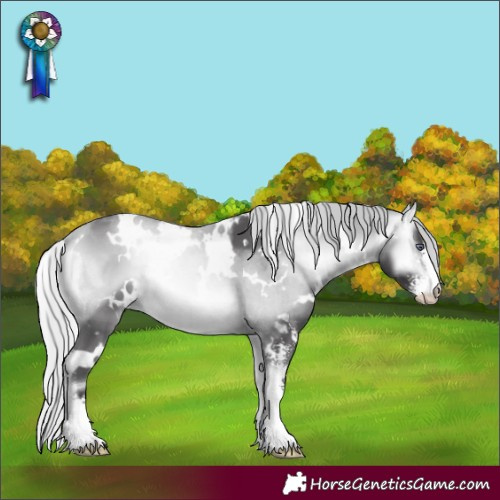Horse Color:White Spotted Silver Buckskin Chinchilla Onyx Sabino