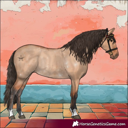 Horse Color:Bay Dun 