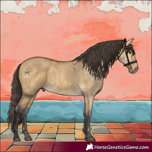Horse Color:Buckskin Dun 