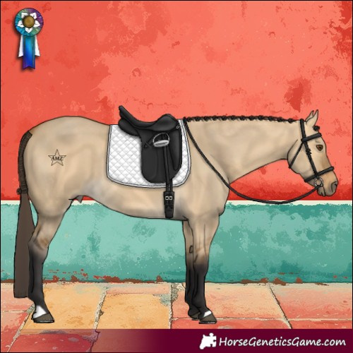 Horse Color:Buckskin Dun