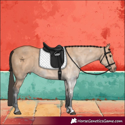 Horse Color:Bay Dun
