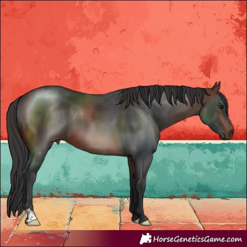 Horse Color:Brown 