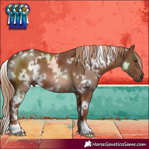 Horse Color:White Spotted Chestnut 