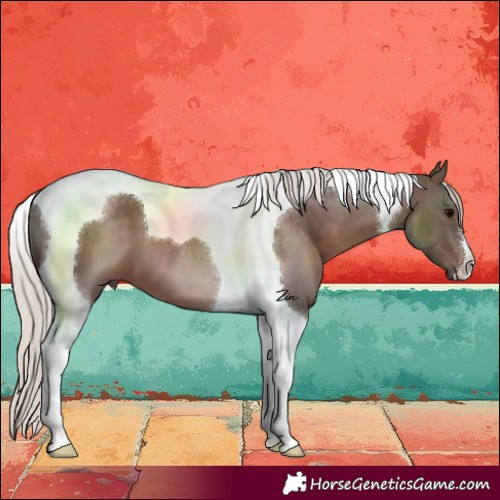 Horse Color:Silver Black Tobiano