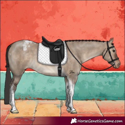 Horse Color:Brown Dun Tobiano Blanket 