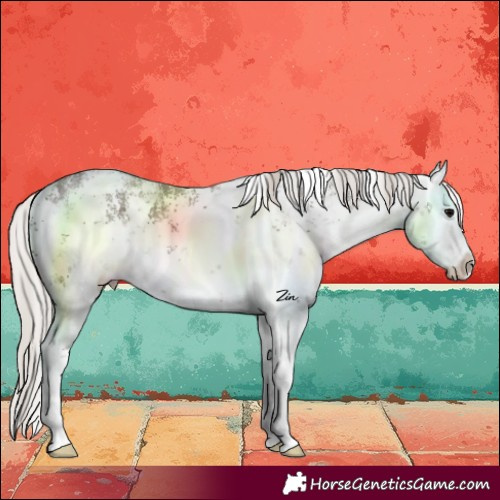 Horse Color:White Spotted Silver Black Sabino