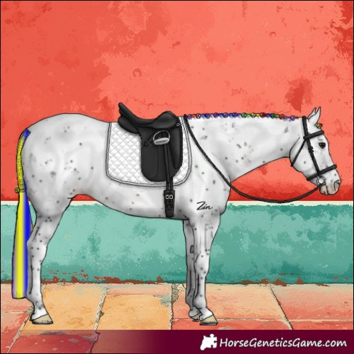 Horse Color:Painted Brown Sabino Varnish Rabicano