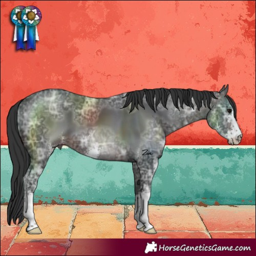 Horse Color:Brown Ice Sabino 