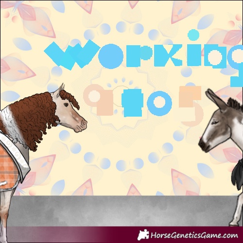 Horse Color:Red Dun Roan Tobiano Blanket 