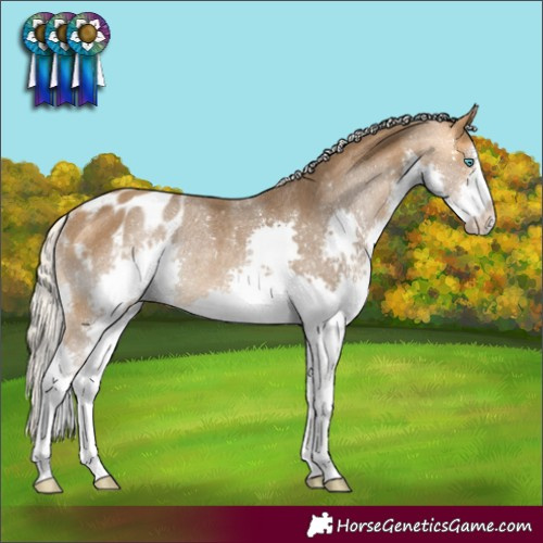 Horse Color:Silver Buckskin Splash Varnish Rabicano