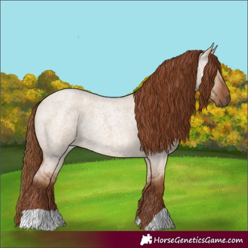 Horse Color:Red Dun Roan 