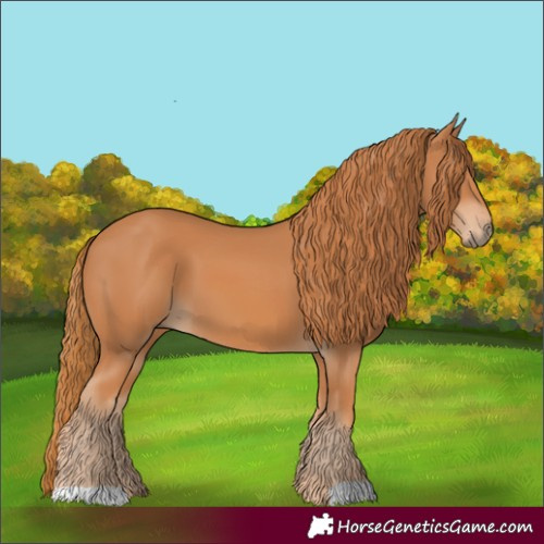 Horse Color:Chestnut 