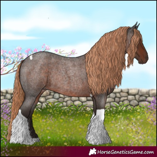 Horse Color:Liver Red Roan Tobiano Rabicano 