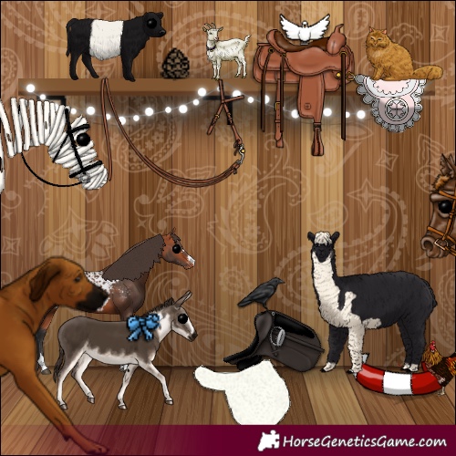 Horse Color:Bay Blanket 