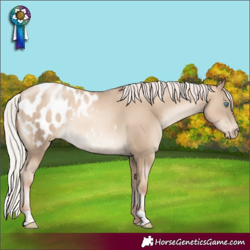 Horse Color:Gray Silver Classic Cream Champagne Pearl Varnish Rabicano
