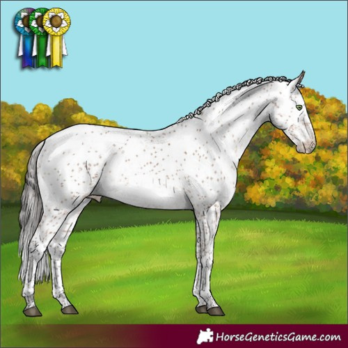 Horse Color:Bay Mushroom Sabino