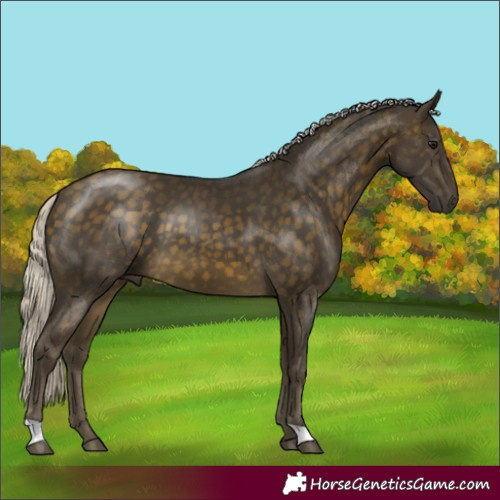Horse Color:Silver Buckskin 