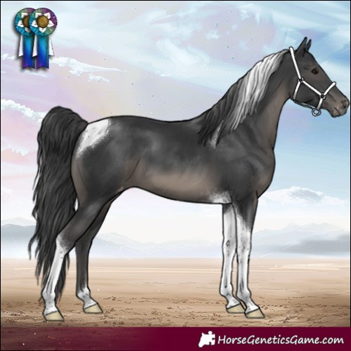Horse Color:Black Tobiano Varnish 