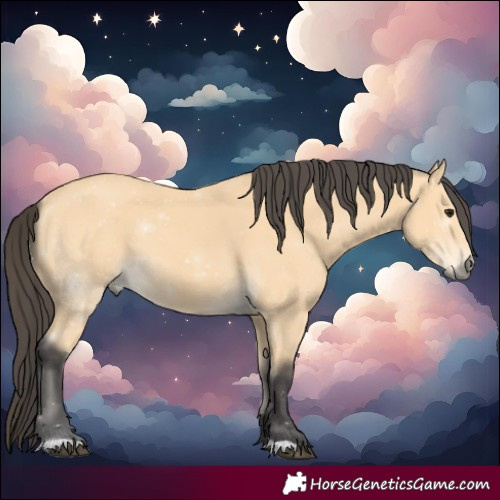 Horse Color:Buckskin 