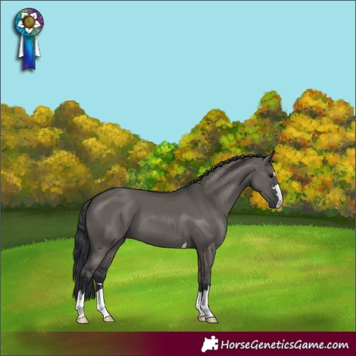 Horse Color:Grullo
