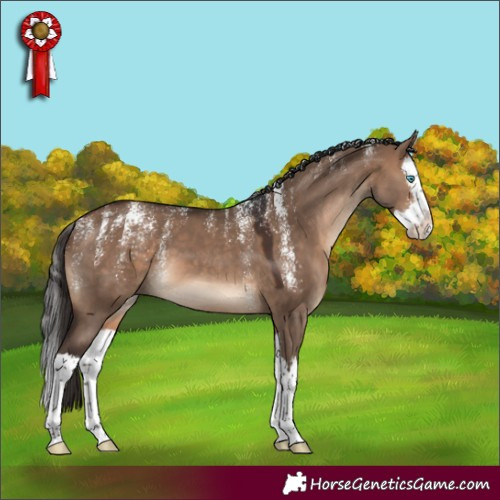 Horse Color:Powder White Brown Dun Splash 