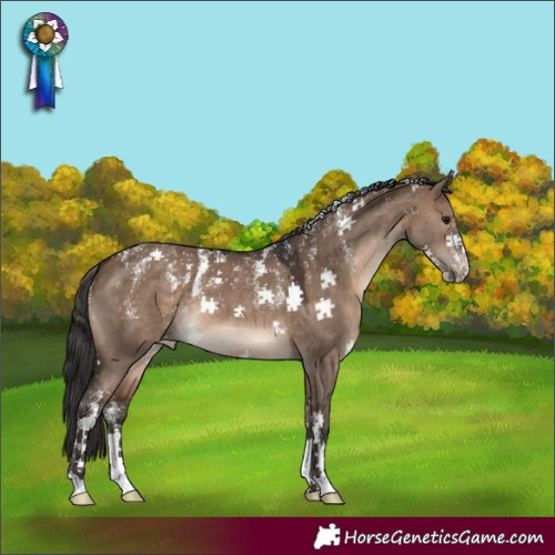 Horse Color:Powder White Brown Dun