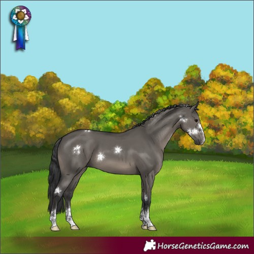 Horse Color:Grullo