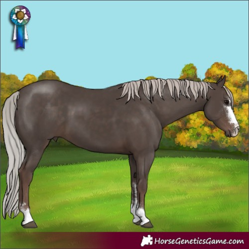 Horse Color:Silver Black 