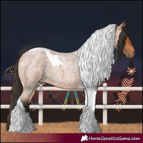 Horse Color:Bay Roan Tobiano