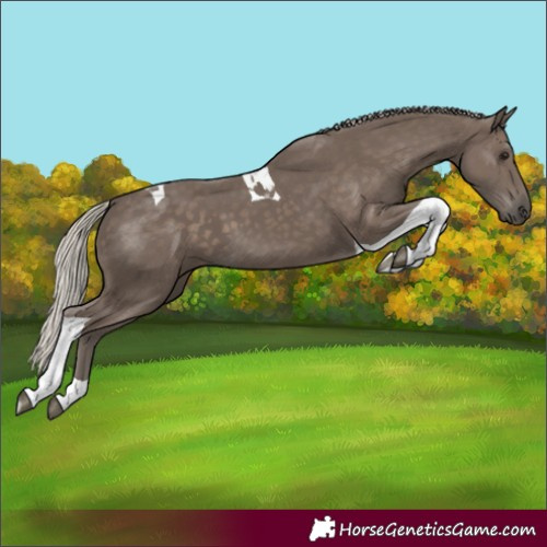 Horse Color:Silver Black Tobiano