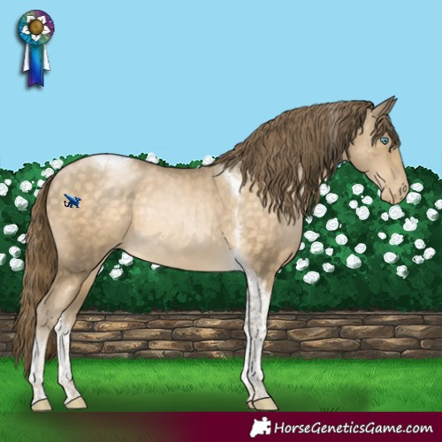 Horse Color:Buckskin Pearl Tobiano Rabicano