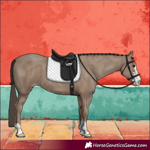Horse Color:Classic Champagne 