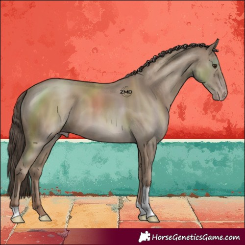 Horse Color:Classic Champagne Tobiano 