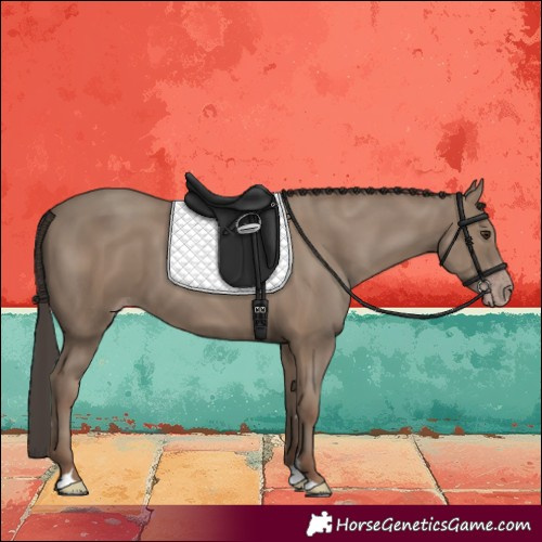 Horse Color:Classic Champagne 
