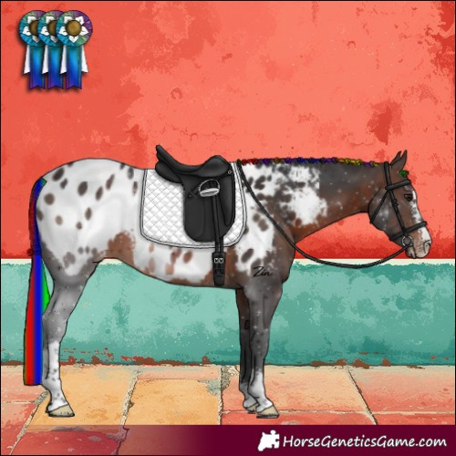 Horse Color:Painted Brown Sabino Blanket