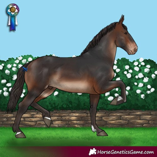 Horse Color:Brown Varnish