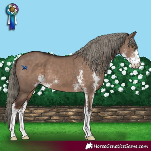 Horse Color:Liver Red Dun Mushroom Sabino
