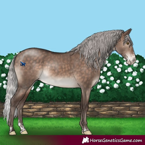 Horse Color:Silver Brown Dun Mushroom Sabino Rabicano