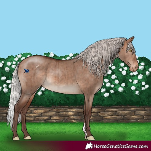 Horse Color:Silver Brown Dun Mushroom Sabino Varnish Rabicano Brindle 